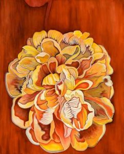 nicoledipierre 2025 7 42x34 sj